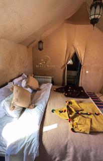 Halcyon Luxury Camp - 8
