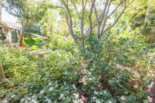 Aspidistra Self-Catering - 5