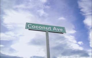 Home in Ochi Rios Coconut Avenue - 4