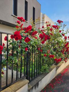 Spacieux T3 Cozy et lumineux proche Paris-Parking gratuit & Jardin - 8