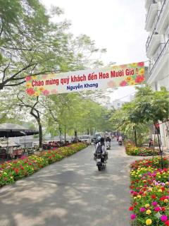 Hoa Mười Giờ 502NK - 7