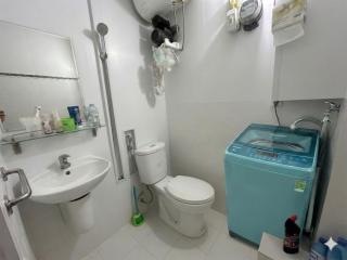 Hoa Mười Giờ 502NK - 1