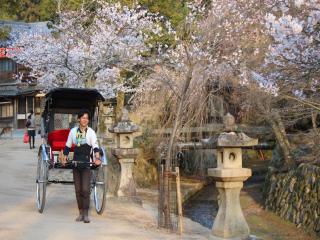 Grand Prince Hotel Hiroshima - Hiroshima - 8