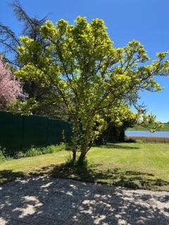 Maison avec jardin, vue sur le lac de Mittersheim - 4