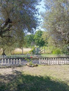 Villa Celestina, a 10 minuti dalle Terme - 5