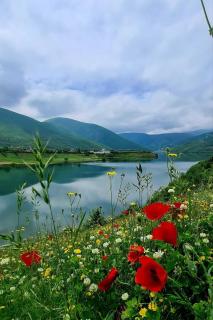 SuperPanorama GuestHouse - 8