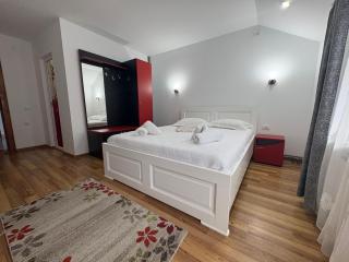 Casa Visescu - 7