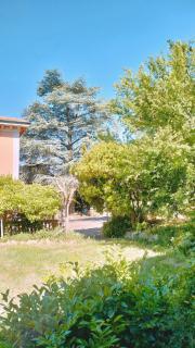 Il Pettirosso - La vacanza a Volterra, in Toscana - 8