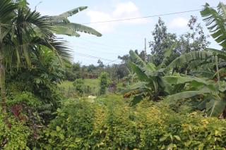 West Breeze - 8