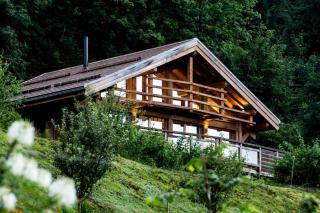 Chalet 8p, Sauna, Panorama, proche lac & randos - 9