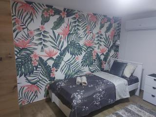 Apartman Djukic Sokobanja 1 - 3