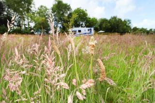 Tarka Trail Horsebox - 9