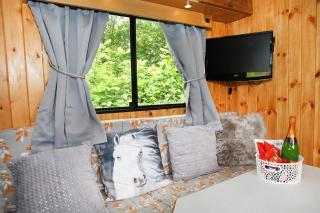 Tarka Trail Horsebox - Hot Tub & Pet proof garden - 6
