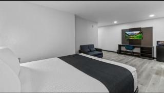 Chandigarh Hotel - 4
