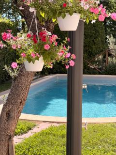 Albergo Ristorante Il Terziere - 8
