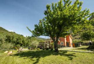 VILLA EMILY - 7