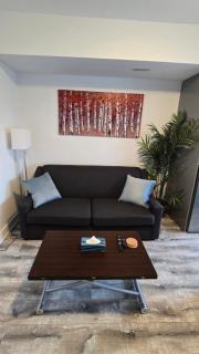 Stylish Townhome Gem with Several Amenities Just Minutes To The Falls - 7