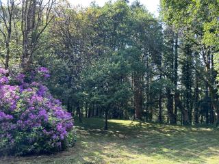 Le Breizh des Bois - 3