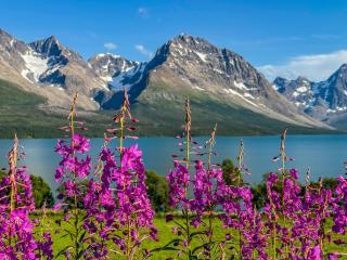 Lyngen Adventure Lodge - 7