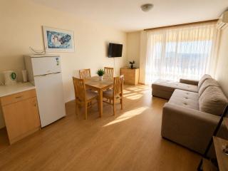 Marina Sunny Apartment - 8