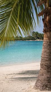 Green Retreat Stylish 2BR by Residences at Vista Cana - 6