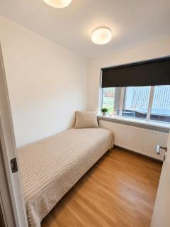 Bright Spacious Home in Reykjavik - 9