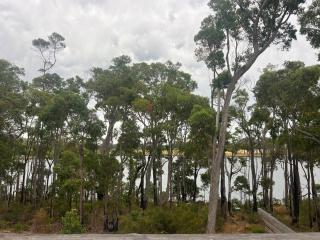 Hempcrete house next to lake - 2