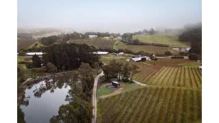 Churinga Orchards by Tiny Away - 6