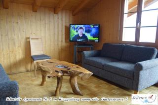Schwizi's Apartments - Ringgenberg - 1