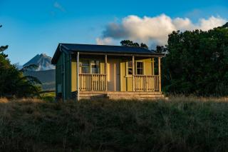 Tree Fuchsia Cabin - 7