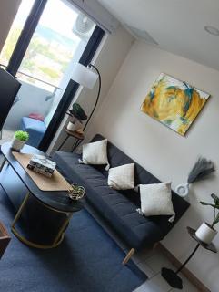 Apartamento ignacio - 2