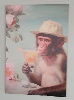 Monkey Tree Cottage - 5