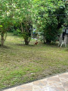 Chombo House - 2