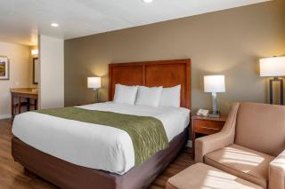 Comfort Inn Bishop - 1