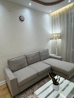 Altai serviced apartment - 1