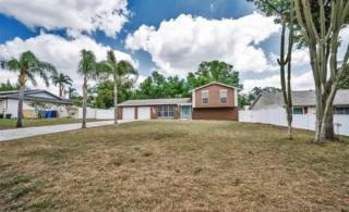 Private Oasis - 5