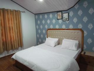 Hill Side Inn Shimla - 3