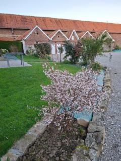 Les saisonniers - 8