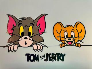 Tom & Jerry Signature Stay 10 Pax Mount Austin JB - 6