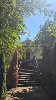 Apple Tree Guesthouse - 5