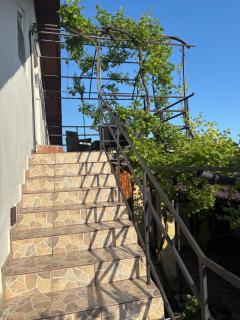 Vila Aron - 6