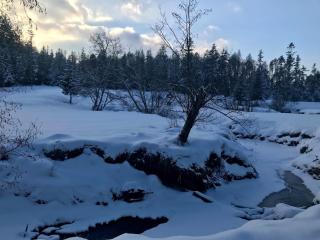 Refuge for muses and elves - 7