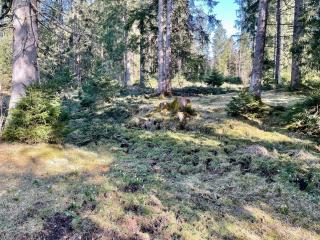 Refuge for muses and elves - 3
