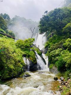 Mandaram Nuwara Sunset Villa - 7