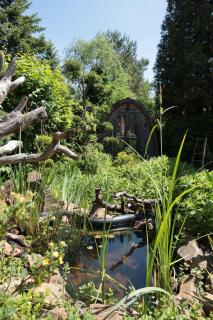 Glamping im Tiny House - nahe Dresden - 8