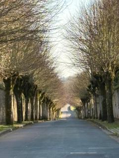 Maison au cœur des châteaux de la Loire - Proche Chambord - Loire à vélo - Les Glycines - 9