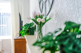 2 BR House, Sleeps 4, Free Parking, Fast Wi-FI - 3