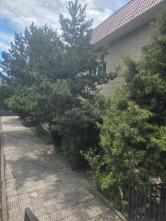 Narek Garden - 5
