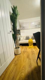 Deluxe Apartment, London - 3