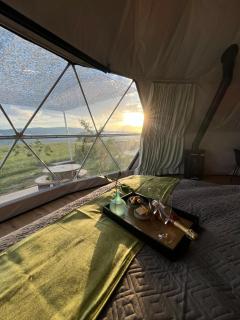 Glamping-Steiermark - 8